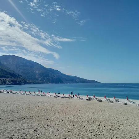 Willa Golden Heights 5